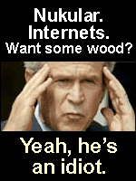 Bush idiot